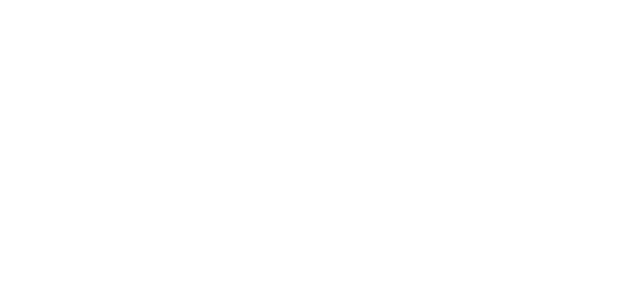 VIGO
